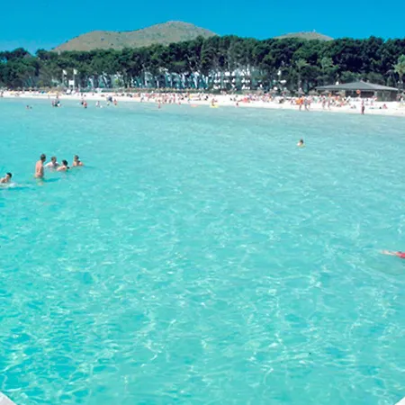Alcudia Magic * Port d'Alcúdia