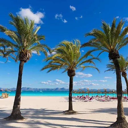 Alcudia Magic Port d'Alcúdia